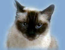 My