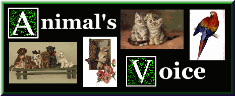 Visit the Animal's Voice 
HomePage 
and join the ring!