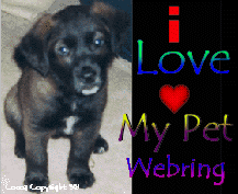 I LOVE MY PET 
RING!