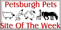 Pets Site Of The Week!