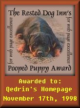 Pooped 
Puppy Award